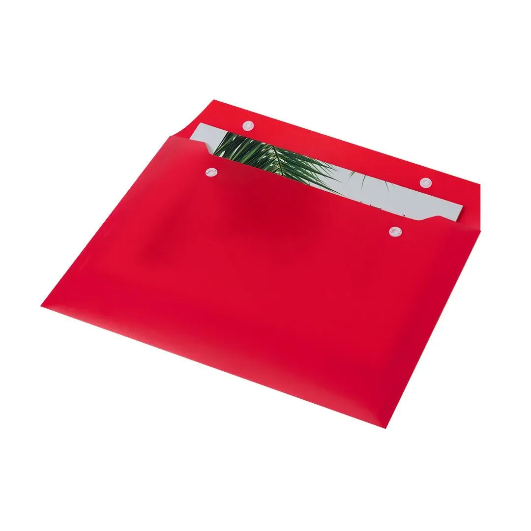 Document Holder Gynster