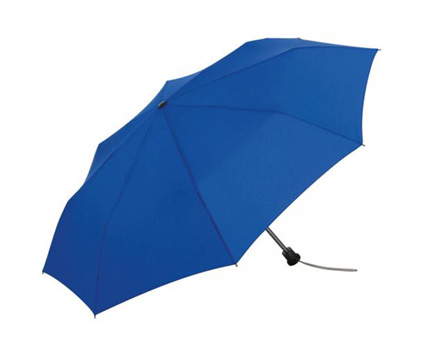 Fare Mini Windfighter