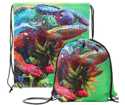 Gymbag Photo
