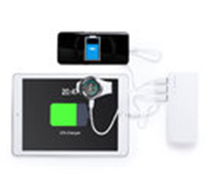 Powerbank Triumph