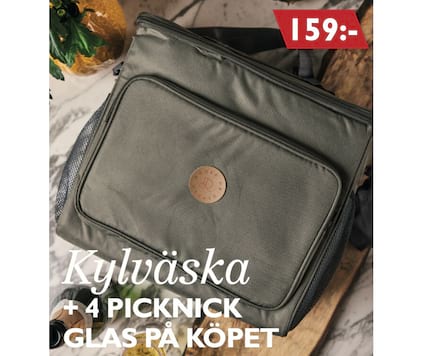 Kjølebag + 4 piknikglass