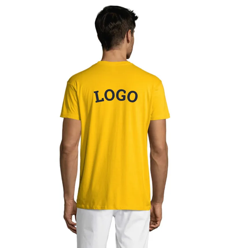 Sverige T-skjorte med logo